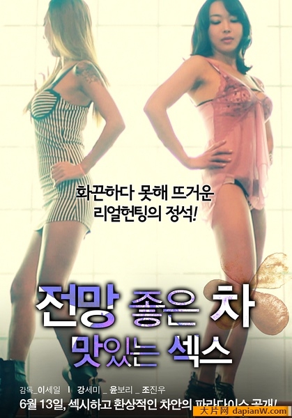 韩国三级女海报