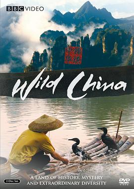美丽中国2011海报