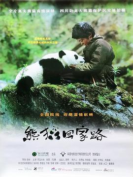 熊猫回家路海报